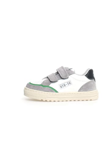 Naturino Leren sneakers "Ariton" wit/grijs
