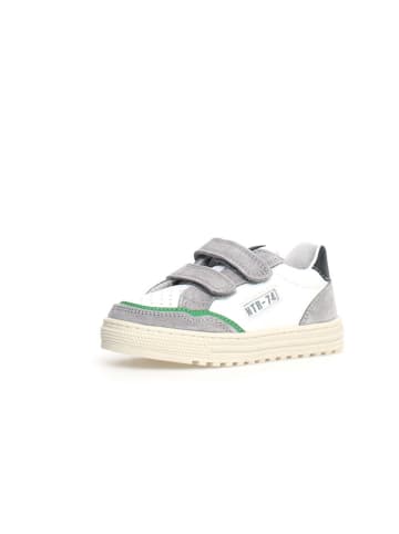 Naturino Leder-Sneakers "Ariton" in Weiß/ Grau