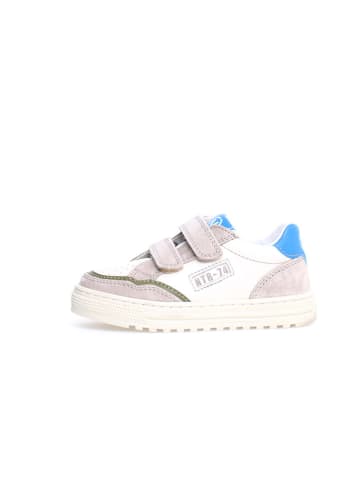 Naturino Leder-Sneakers "Ariton" in Rosa/ Weiß/ Blau
