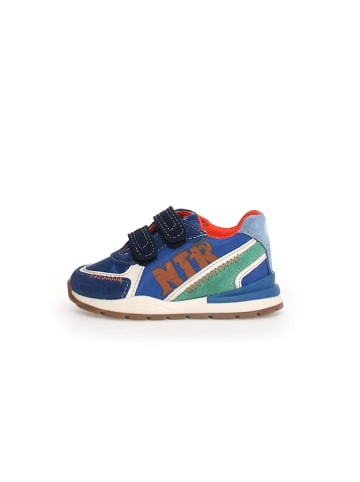 Naturino Leder-Sneakers "Bley" in Blau/ Grün