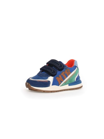 Naturino Leder-Sneakers "Bley" in Blau/ Grün