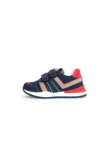 Naturino Leren sneakers "Evon 2" donkerblauw/rood