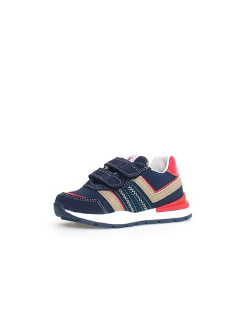 Naturino Leder-Sneakers "Evon 2" in Dunkelblau/ Rot