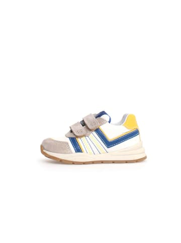 Naturino Leren sneakers "Evon 2" wit/beige/meerkleurig