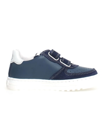 Naturino Leder-Sneakers "Hess 2" in Dunkelblau