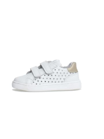 Naturino Leder-Sneakers "Saevel Stars" in Weiß/ Gold