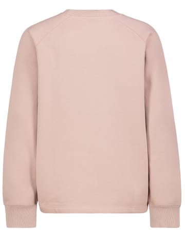 Sublevel Sweatshirt in Rosa