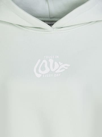 Sublevel Hoodie in Mint