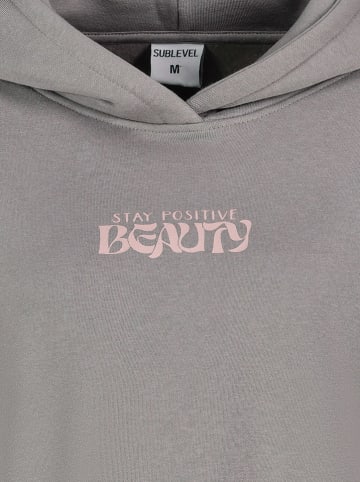 Sublevel Hoodie grijs