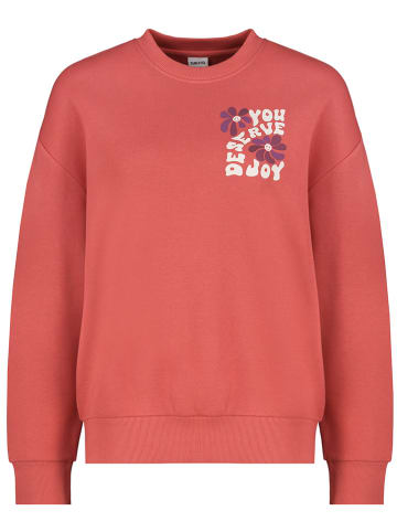 Sublevel Sweatshirt in Rot