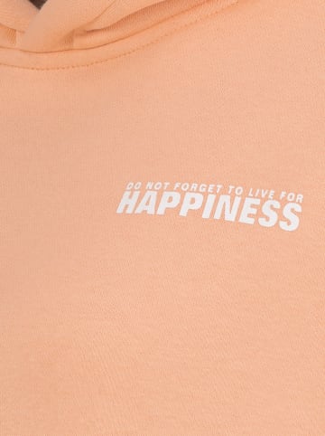 Sublevel Hoodie abrikooskleurig