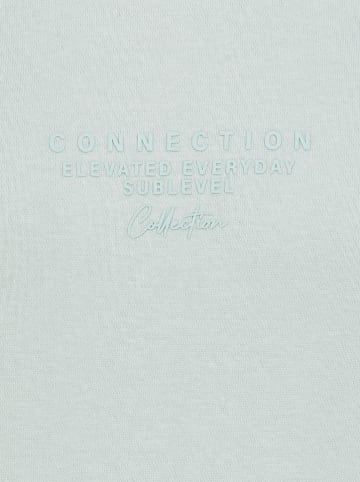Sublevel Hoodie in Mint