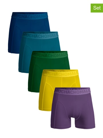 Muchachomalo 5er-Set: Boxershorts in Bunt