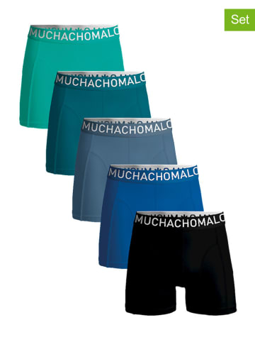 Muchachomalo 5-delige set: boxershorts zwart/blauw/groen