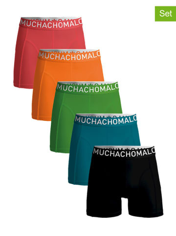 Muchachomalo 5er-Set: Boxershorts in Bunt