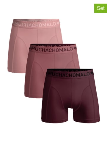 Muchachomalo 3er-Set: Boxershorts in Bordeaux/ Altrosa/ Rosa