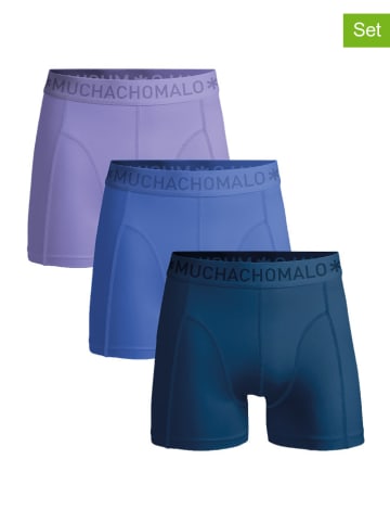 Muchachomalo 3er-Set: Boxershorts in Blau/ Flieder
