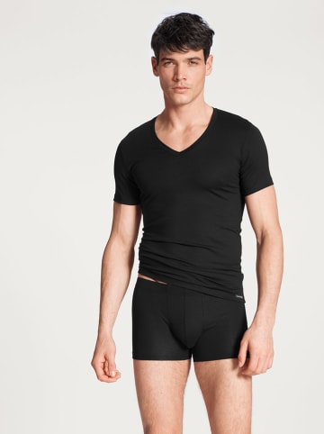 Calida Shirt in Schwarz