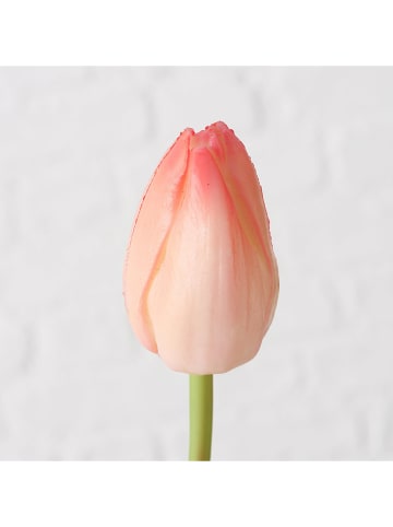 Boltze Kunstpflanze "Tulpe" in Rosa/ Grün - (H)42 cm