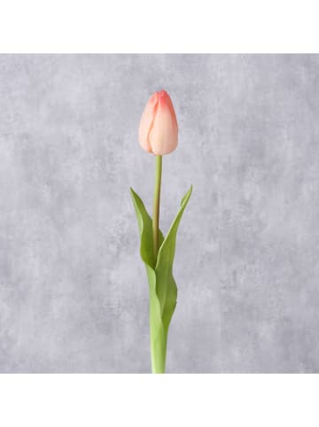 Boltze Kunstpflanze "Tulpe" in Rosa/ Grün - (H)42 cm