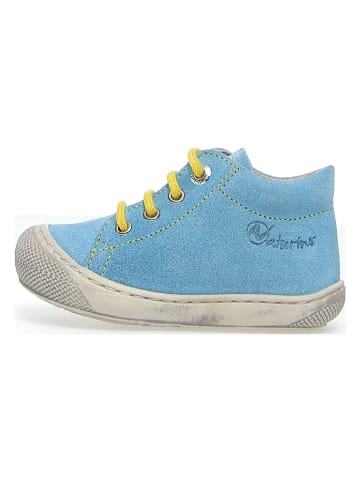 Naturino Leder-Lauflernschuhe "Cocoon" in Hellblau