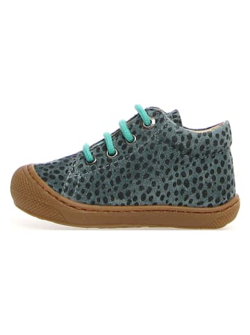 Naturino Leder-Lauflernschuhe "Cocoon" in Blau