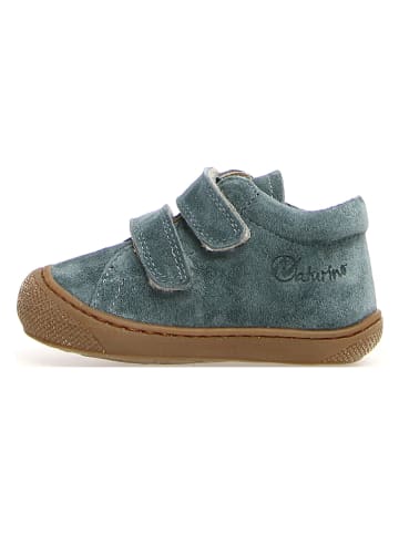 Naturino Leder-Lauflernschuhe "Cocoon" in Blau