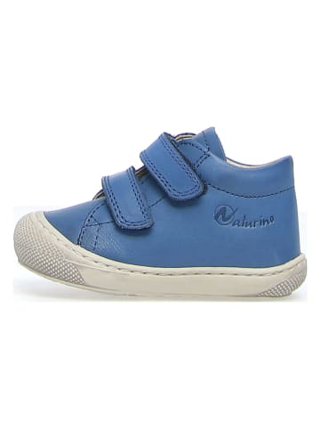 Naturino Leder-Lauflernschuhe "Cocoon" in Blau