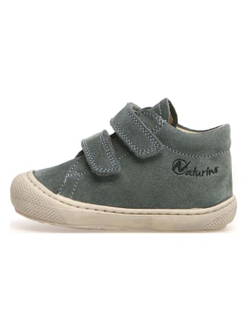 Naturino Leren loopleerschoenen "Cocoon" grijs