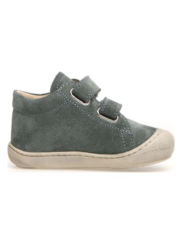 Naturino Leder-Lauflernschuhe "Cocoon" in Grau