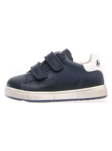 Naturino Leder-Sneakers "Hasselt" in Dunkelblau