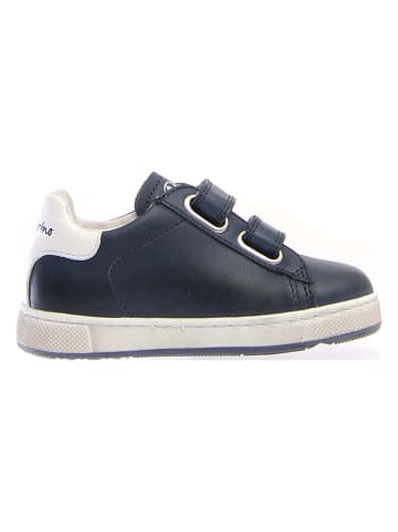 Naturino Leder-Sneakers "Hasselt" in Dunkelblau