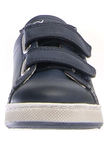 Naturino Leder-Sneakers "Hasselt" in Dunkelblau