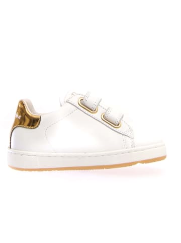 Naturino Leder-Sneakers "Hasselt" in Weiß/ Gold