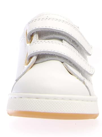Naturino Leder-Sneakers "Hasselt" in Weiß/ Gold