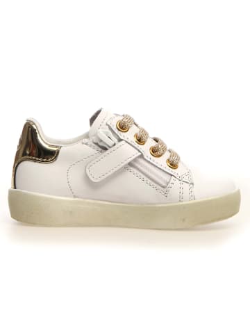 Naturino Leren sneakers "Annie" crème/goudkleurig
