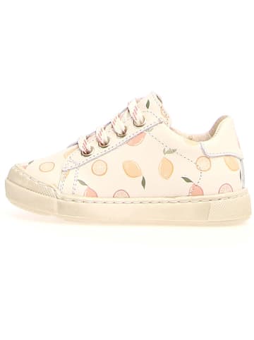 Naturino Leder-Sneakers "Eindhoven" in Creme