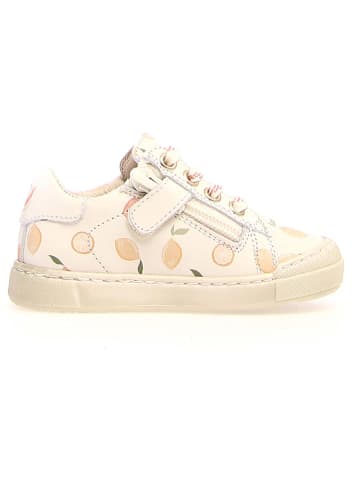 Naturino Leder-Sneakers "Eindhoven" in Creme