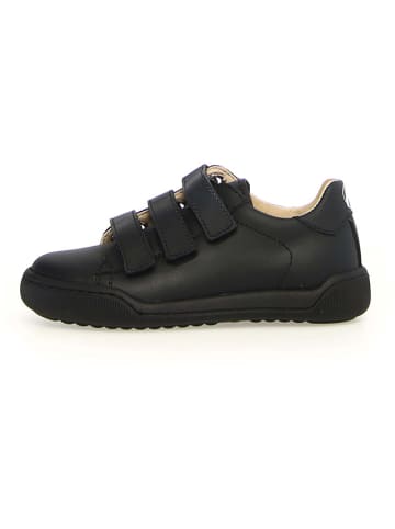 Naturino Leder-Sneakers "Gempe" in Schwarz