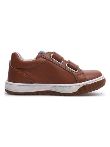 Naturino Leren sneakers "Minds" bruin