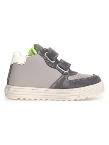 Naturino Leder-Sneakers "Hess high" in Grau