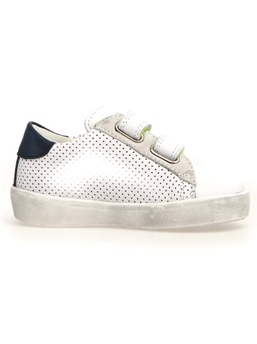 Naturino Leren sneakers "Korey" wit/groen