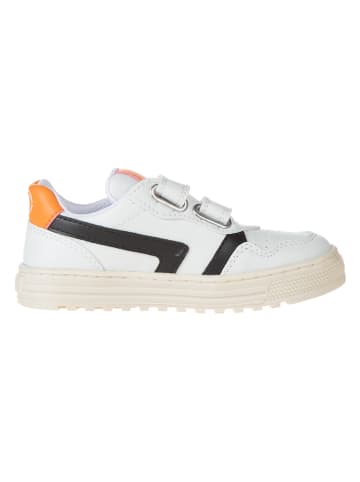 Naturino Leder-Sneakers "Ceonia" in Weiß