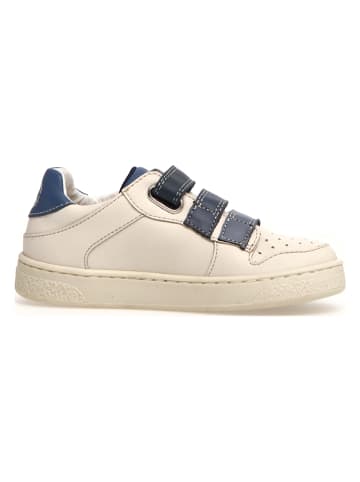 Naturino Leder-Sneakers "Theral" in Creme/ Dunkelblau