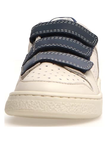 Naturino Leder-Sneakers "Theral" in Creme/ Dunkelblau