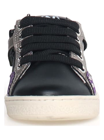 Naturino Sneakersy "Quar" w kolorze czarnym