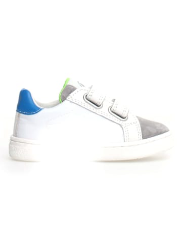 Naturino Leren sneakers "Pinn" wit/grijs/blauw