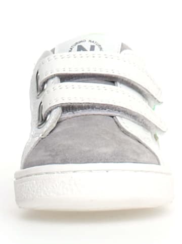 Naturino Leren sneakers "Pinn" wit/grijs/blauw