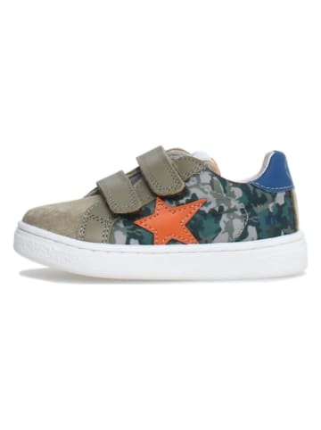 Naturino Leder-Sneakers "Pinn" in Khaki