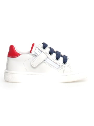 Naturino Leder-Sneakers "Pinn" in Weiß/ Dunkelblau/ Rot